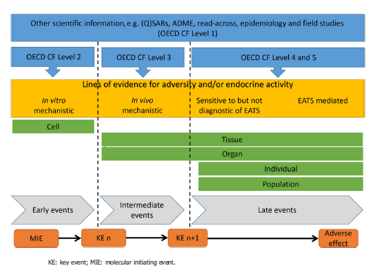 4瑞歐.png 4瑞歐.png